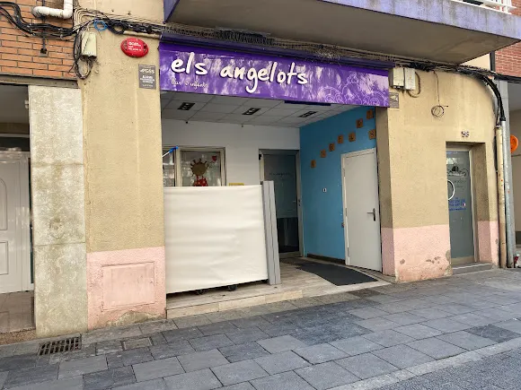ELS ANGELOTS