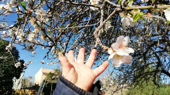 Son Sardina Infants i Natura - Palma