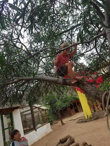 Escuela "Libre" La Casa del Sol (Infantil y Primaria Pedagogía Waldorf) - Arucas