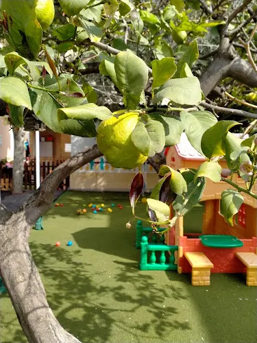 C.E.I. EL JARDÍN DE LAS PALMERAS - Sagunto/Sagunt